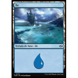 (Foil) Terrain - Île (V2) (L) [TDM]