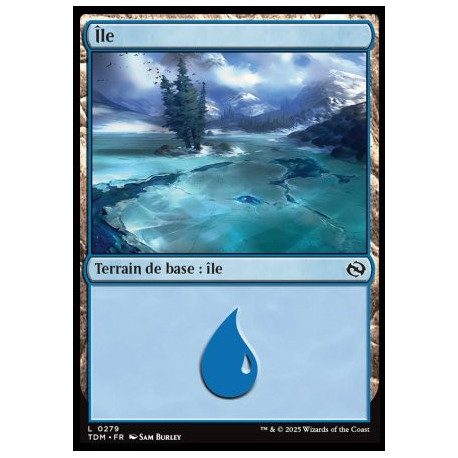 (Foil) Terrain - Île (V2) (L) [TDM]