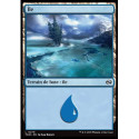 (Foil) Terrain - Île (V2) (L) [TDM]