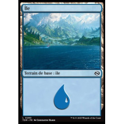 (Foil) Terrain - Île (V3) (L) [TDM]