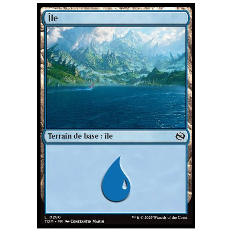 (Foil) Terrain - Île (V3) (L) [TDM]