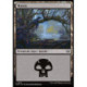 (Foil) Terrain - Marais (V2) (L) [TDM]