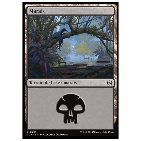 (Foil) Terrain - Marais (V2) (L) [TDM]