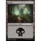 (Foil) Terrain - Marais (V3) (L) [TDM]