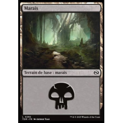 (Foil) Terrain - Marais (V3) (L) [TDM]
