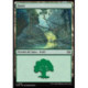 (Foil) Terrain - Forêt (V2) (L) [TDM]