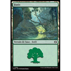 (Foil) Terrain - Forêt (V2) (L) [TDM]