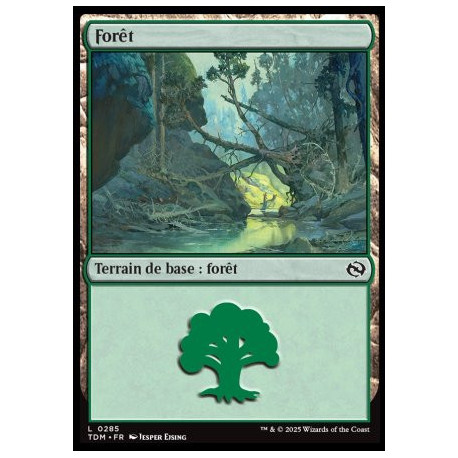 (Foil) Terrain - Forêt (V2) (L) [TDM]