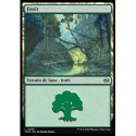 (Foil) Terrain - Forêt (V2) (L) [TDM]