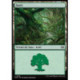 (Foil) Terrain - Forêt (V3) (L) [TDM]