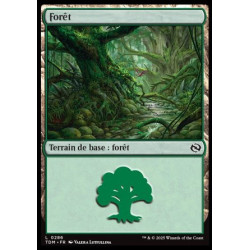 (Foil) Terrain - Forêt (V3) (L) [TDM]