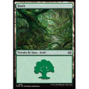 (Foil) Terrain - Forêt (V3) (L) [TDM]