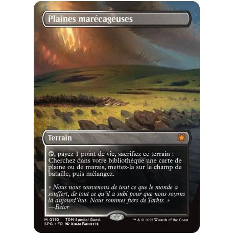 Terrain - Plaines marécageuses (M) [SPG]