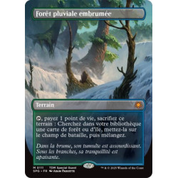 Terrain - Forêt pluviale embrumée (M) [SPG]