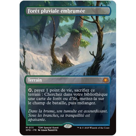 Terrain - Forêt pluviale embrumée (M) [SPG]