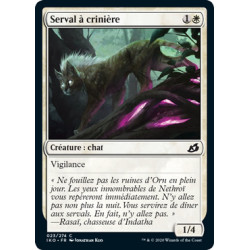 (Foil) Blanche - Serval à crinière (C) [IKO]