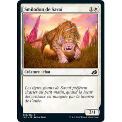(Foil) Blanche - Smilodon de Savaï (C) [IKO]