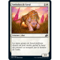 (Foil) Blanche - Smilodon de Savaï (C) [IKO]