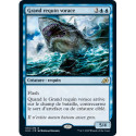 (Foil) Bleue - Grand requin vorace (R) [IKO]