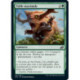 (Foil) Verte - Taille maximale (C) [IKO]