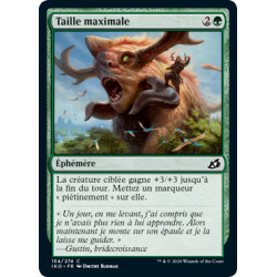 (Foil) Verte - Taille maximale (C) [IKO]