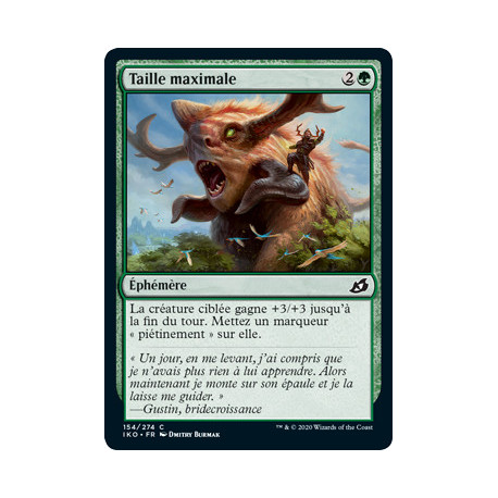 (Foil) Verte - Taille maximale (C) [IKO]