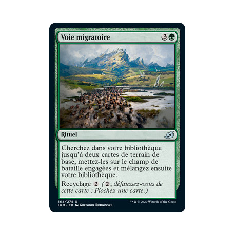 (Foil) Verte - Voie migratoire (U) [IKO]