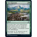 (Foil) Verte - Voie migratoire (U) [IKO]