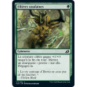 (Foil) Verte - Filières soudaines (C) [IKO]