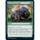 (Foil) Verte - Lien des survivants (C) [IKO]