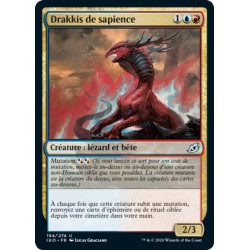 (Foil) Or - Drakkis de sapience (V1) (U) [IKO]