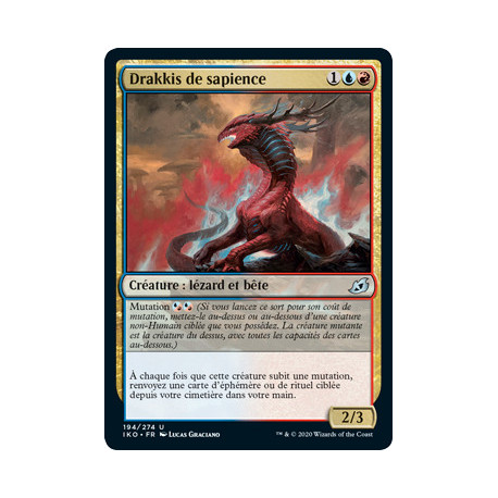 (Foil) Or - Drakkis de sapience (V1) (U) [IKO]