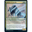 (Foil) Or - Bubale de parcelle (V1) (U) [IKO]