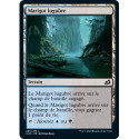 (Foil) Terrain - Marigot lugubre (C) [IKO]