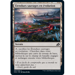 (Foil) Terrain - Étendues sauvages en évolution (C) [IKO]