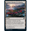 (Foil) Terrain - Étendues sauvages en évolution (C) [IKO]