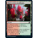 (Foil) Terrain - Hautes terres rocailleuses (C) [IKO]