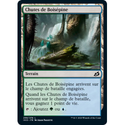 (Foil) Terrain - Chutes de Boisépine (C) [IKO]