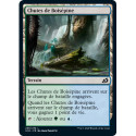 (Foil) Terrain - Chutes de Boisépine (C) [IKO]
