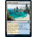 (Foil) Terrain - Crique tranquille (C) [IKO]