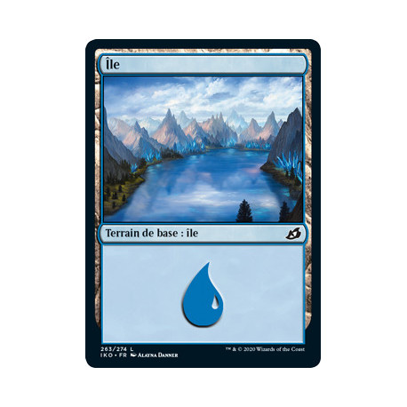 (Foil) Terrain - Île (V1) (L) [IKO]