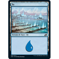 (Foil) Terrain - Île (V3) (L) [IKO]