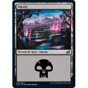 (Foil) Terrain - Marais (V1) (L) [IKO]