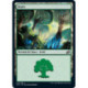 (Foil) Terrain - Forêt (V1) (L) [IKO]