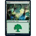 (Foil) Terrain - Forêt (V1) (L) [IKO]
