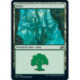 (Foil) Terrain - Forêt (V2) (L) [IKO]