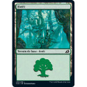 (Foil) Terrain - Forêt (V2) (L) [IKO]