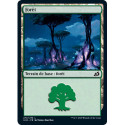 (Foil) Terrain - Forêt (V3) (L) [IKO]