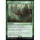 (Foil) Verte - Accident d'aéronef (C) [FIN]