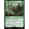 (Foil) Verte - Accident d'aéronef (C) [FIN]